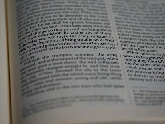 Kasino Grand Eagle Podpora